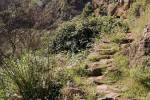 Le sentier pour Hermigua ; on voit l'antenne vers El Cedro en haut